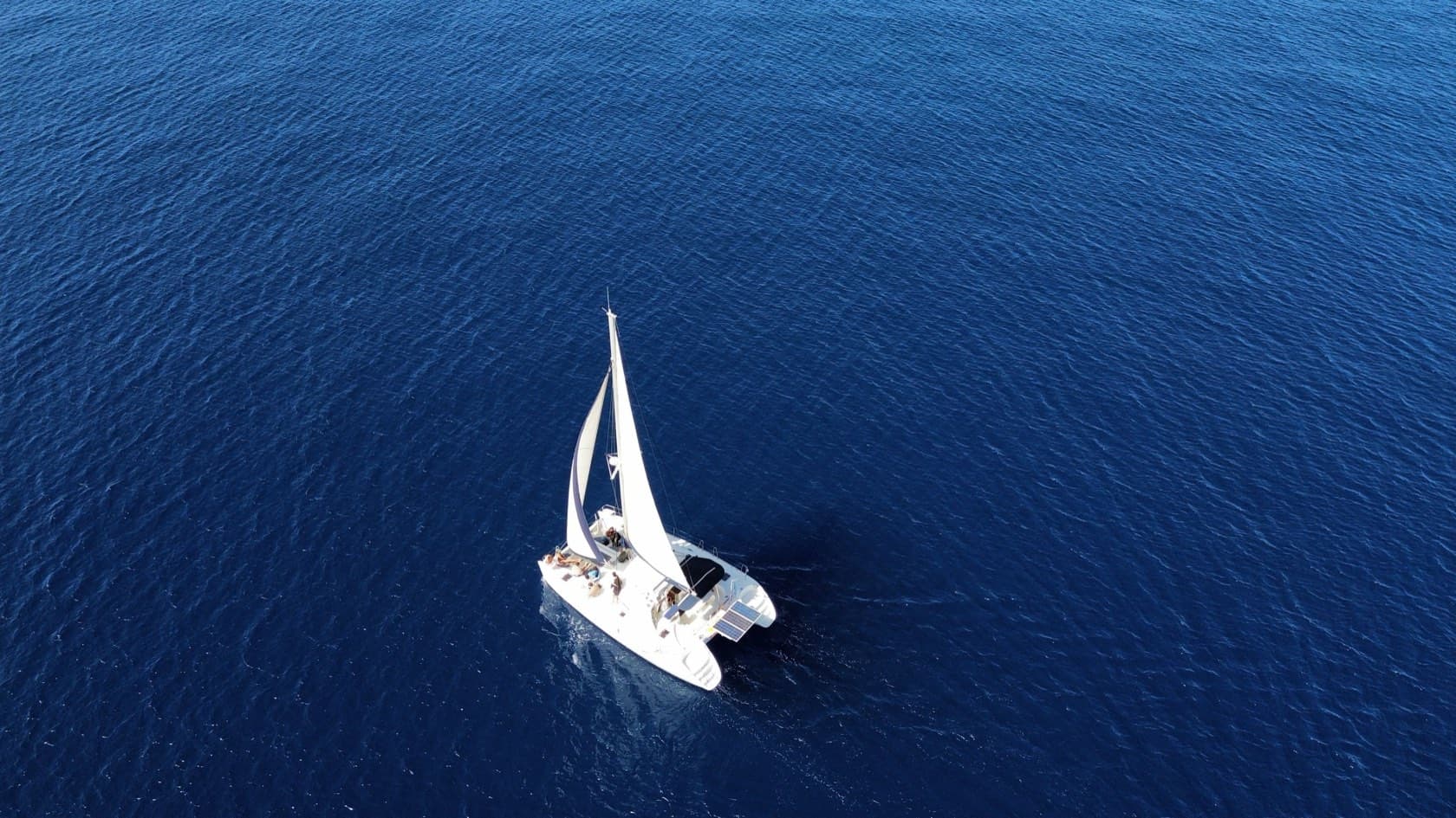 Catamarán blanco a vela en mar abierto, visto desde el aire